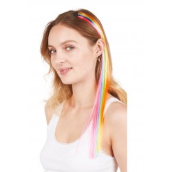 Mèche Multicolore Cheveux 48 cm PtitClown
