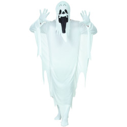Déguisement fantÃ´me visage adulte Jadeo