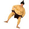 Déguisement sumo homme Jadeo
