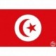 Drapeau Tunisie 9 x 150 cm