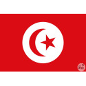 Drapeau Tunisie 9 x 150 cm