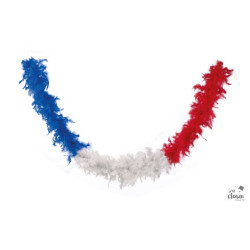 Boa Plumes Bleu Blanc Rouge