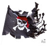 Drapeau Pirate Déchiré 7 x 100 cm PtitClown