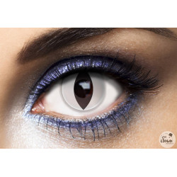 Lentilles Oeil de Chat