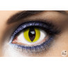 Lentilles Oeil de Chat