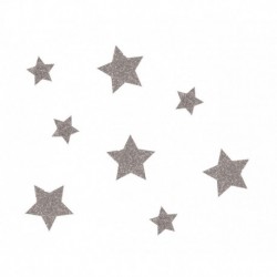 Confettis à paillettes étoile  argent  lot de 50