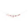 Guirlande Joyeux Anniversaire  rose gold  2,5m Cam et Léon