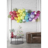Kit 50 ballons  arcenciel Cam et Léon