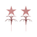 Pique étoile rose gold lot de 2 Cam et Léon