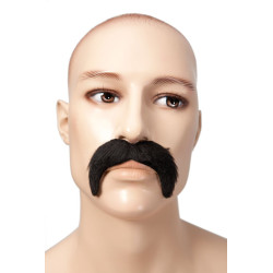 Déguisement Moustache Blond Style 1900 Homme - Costume Moustache The Duck