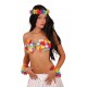 Déguisement Bas Soutien-Gorge Hawai Femme - Costume Bas The Duck