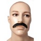 Fausse Moustache de Gangster - Moustache de Costume - Déguisement Année 20 The Duck