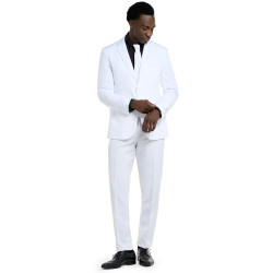 Costume Mr. Blanc Opposuits  