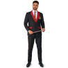 Costume Mr. Gryffondor adulte Suitmeister  