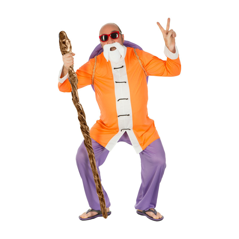 D√©guisement Tortue G√©niale Dragon Ball homme  