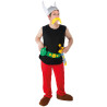 D√©guisement Ast√©rix adulte - Ast√©rix et Ob√©lix  