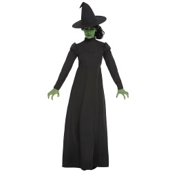 D√©guisement sorci√®re noire femme  