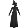D√©guisement sorci√®re noire femme  