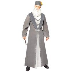 D√©guisement Dumbledore - Harry Potter adulte  