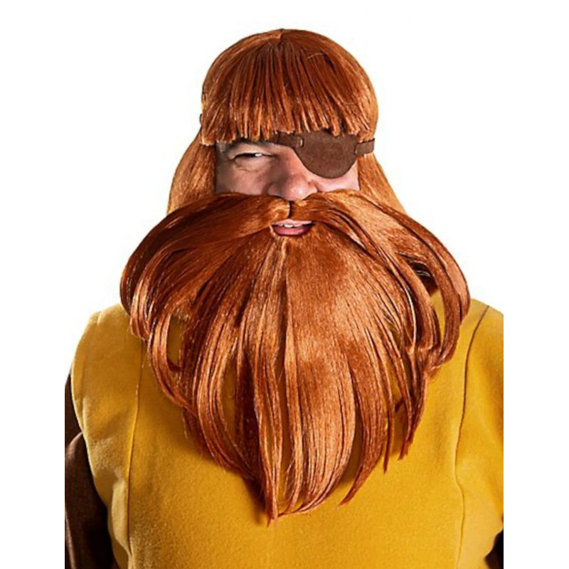 Perruque et barbe Halvar Vic le Viking homme  