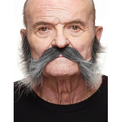 Moustache avec pattes grisonnante homme  