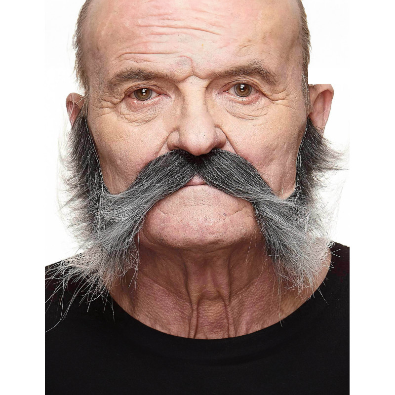 Moustache avec pattes grisonnante homme  