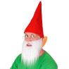 Accessoires de nain rouge adulte  