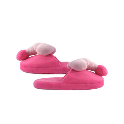 Chaussons humoristiques zizi adulte  