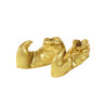 Sur-chaussures dor√©es adulte  