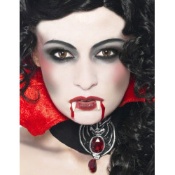 Kit maquillage vampire adulte Halloween  