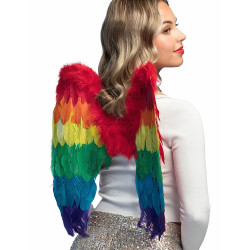 Ailes multicolores 50 x 50 cm adulte  