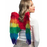 Ailes multicolores 50 x 50 cm adulte  