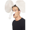 Kit √©l√©phant adulte  
