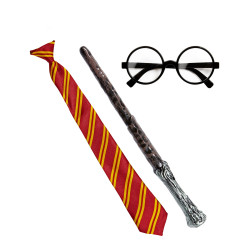 Kit accessoires apprenti sorcier adulte  