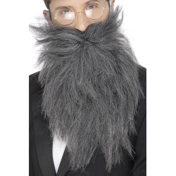 Barbe longue grise homme  