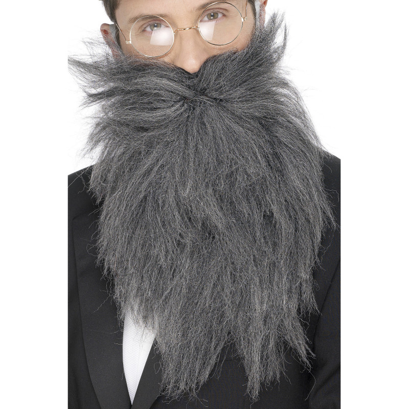 Barbe longue grise homme  