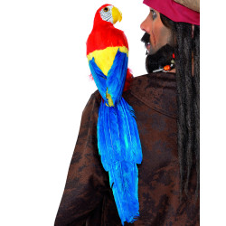 Perroquet de pirate  