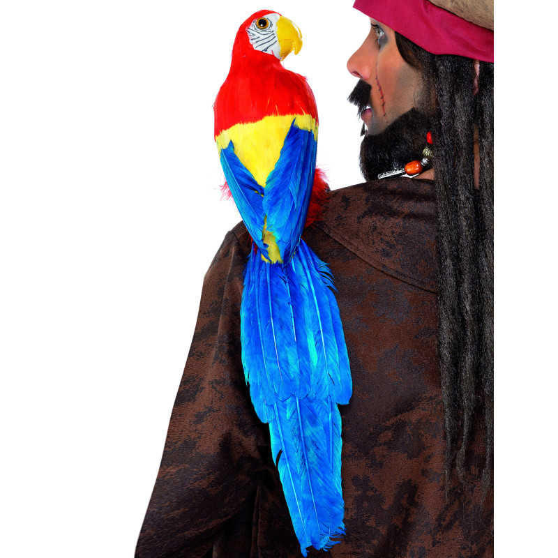 Perroquet de pirate  