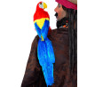 Perroquet de pirate  