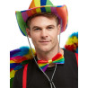 Chapeau stetson arc en ciel adulte  