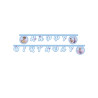 Guirlande en carton Happy Birthday La Reine des Neiges 2 m  