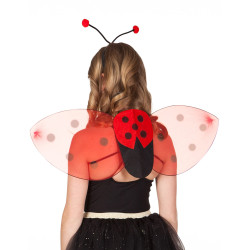 Kit ailes et serre-t√™te coccinelle enfant  