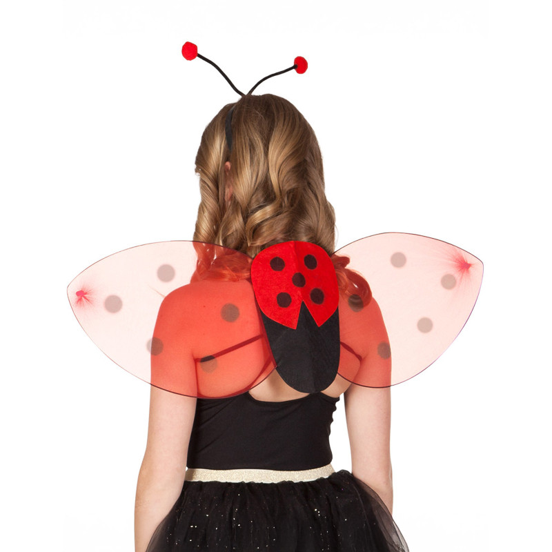 Kit ailes et serre-t√™te coccinelle enfant  