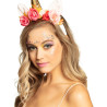 Kit maquillage licorne adulte  
