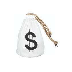 Sac dollar blanc 29 x 20 cm  