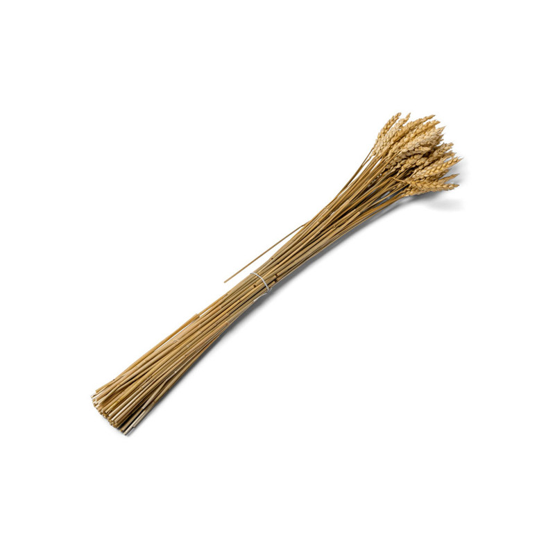 Bouquet d'√©pis de bl√© naturel 60 cm  