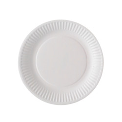 100 petites assiettes en carton blanc 18 cm compostables  