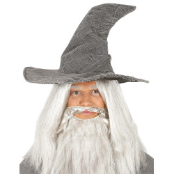 Chapeau de sorcier gris  