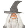 Chapeau de sorcier gris  