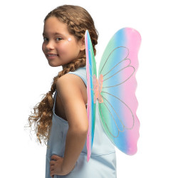 Ailes papillon multicolore  